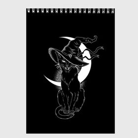 Скетчбук с принтом Кошка колдунья в Тюмени, 100% бумага
 | 48 листов, плотность листов — 100 г/м2, плотность картонной обложки — 250 г/м2. Листы скреплены сверху удобной пружинной спиралью | black | cat | cl | crescent | fangs | halloween | hat | holiday | hunter | kitty | magic | month | moon | mystic | night | predator | white | witch | белый | ведьма | киса | клыки | когти | колдовство | кот | котэ | кошка | луна | магия | месяц | мистика 