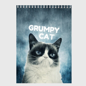 Скетчбук с принтом Grumpy Cat в Тюмени, 100% бумага
 | 48 листов, плотность листов — 100 г/м2, плотность картонной обложки — 250 г/м2. Листы скреплены сверху удобной пружинной спиралью | кот | котики | коты | мем | мемы | сердитый кот
