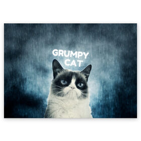 Поздравительная открытка с принтом Grumpy Cat в Тюмени, 100% бумага | плотность бумаги 280 г/м2, матовая, на обратной стороне линовка и место для марки
 | Тематика изображения на принте: кот | котики | коты | мем | мемы | сердитый кот