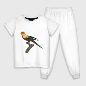 Детская пижама хлопок с принтом Попугай. Аратинга. в Тюмени, 100% хлопок |  брюки и футболка прямого кроя, без карманов, на брюках мягкая резинка на поясе и по низу штанин
 | аратинга | бразилия | зоозащита | попугаи | попугайчики | природа | птица | птицы | солнечный