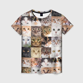Женская футболка 3D с принтом Кошачий коллаж в Тюмени, 100% полиэфир ( синтетическое хлопкоподобное полотно) | прямой крой, круглый вырез горловины, длина до линии бедер | breed | cat | cats | collage | eyes | fluffy | funny | kitten | look | meow | mustache | muzzle | photo | squares | взгляд | глаза | квадраты | коллаж | кот | котёнок | котики | кошка | мяу | порода | прикольный | пушистый | усы | фото