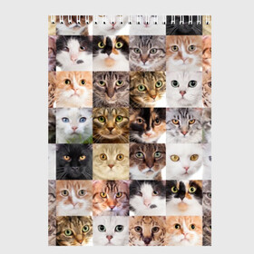 Скетчбук с принтом Кошачий коллаж в Тюмени, 100% бумага
 | 48 листов, плотность листов — 100 г/м2, плотность картонной обложки — 250 г/м2. Листы скреплены сверху удобной пружинной спиралью | breed | cat | cats | collage | eyes | fluffy | funny | kitten | look | meow | mustache | muzzle | photo | squares | взгляд | глаза | квадраты | коллаж | кот | котёнок | котики | кошка | мяу | порода | прикольный | пушистый | усы | фото