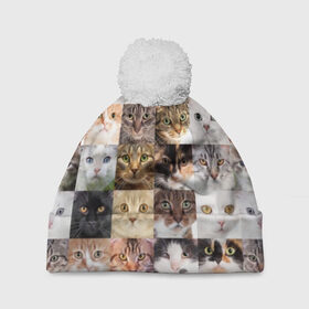 Шапка 3D c помпоном с принтом Кошачий коллаж в Тюмени, 100% полиэстер | универсальный размер, печать по всей поверхности изделия | breed | cat | cats | collage | eyes | fluffy | funny | kitten | look | meow | mustache | muzzle | photo | squares | взгляд | глаза | квадраты | коллаж | кот | котёнок | котики | кошка | мяу | порода | прикольный | пушистый | усы | фото