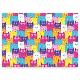 Поздравительная открытка с принтом Разноцветные котики в Тюмени, 100% бумага | плотность бумаги 280 г/м2, матовая, на обратной стороне линовка и место для марки
 | blue | cat | colorful | cool | cute | funny | kitten | orange | paws | pink | purple | smile | tail | torso | white | yellow | белый | желтый | забавный | кот | котёнок | котик | котэ | кошка | лапы | милый | оранжевый | прикольный | разноцветны