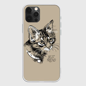 Чехол для iPhone 12 Pro Max с принтом Best friend в Тюмени, Силикон |  | attractive face | cat | collar | cute | drawing | funny | kitten | mustache | touching | забавный | кот | котёнок | милый | ошейник | рисунок | трогательный | усы