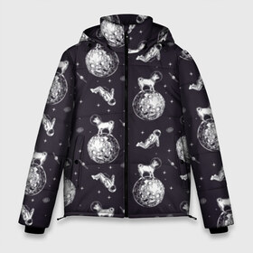 Мужская зимняя куртка 3D с принтом Собаки - астронавты в Тюмени, верх — 100% полиэстер; подкладка — 100% полиэстер; утеплитель — 100% полиэстер | длина ниже бедра, свободный силуэт Оверсайз. Есть воротник-стойка, отстегивающийся капюшон и ветрозащитная планка. 

Боковые карманы с листочкой на кнопках и внутренний карман на молнии. | astronaut | black | breed | chihuahua | dog | flight | galaxy | helmet | planet | space | spacesuit | white | астронавт | белый | галактика | космос | пёс | планета | полёт | порода | скафандр | собака | черный | чихуахуа | шлем