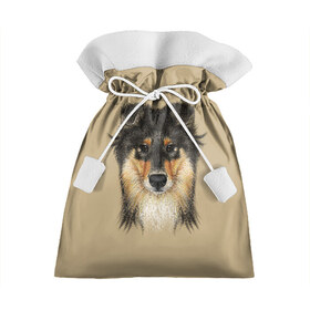 Подарочный 3D мешок с принтом Sheltie в Тюмени, 100% полиэстер | Размер: 29*39 см | animal | black | breed | brown | cute | dog | drawing | eyes | kind | look | muzzle | portrait | red | взгляд | глаза | добрый | животное | коричневый | милый | пёс | порода | портрет | рисунок | рыжий | собака | черный | шелти