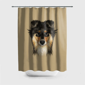 Штора 3D для ванной с принтом Sheltie в Тюмени, 100% полиэстер | плотность материала — 100 г/м2. Стандартный размер — 146 см х 180 см. По верхнему краю — пластиковые люверсы для креплений. В комплекте 10 пластиковых колец | animal | black | breed | brown | cute | dog | drawing | eyes | kind | look | muzzle | portrait | red | взгляд | глаза | добрый | животное | коричневый | милый | пёс | порода | портрет | рисунок | рыжий | собака | черный | шелти