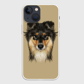 Чехол для iPhone 13 mini с принтом Sheltie в Тюмени,  |  | animal | black | breed | brown | cute | dog | drawing | eyes | kind | look | muzzle | portrait | red | взгляд | глаза | добрый | животное | коричневый | милый | пёс | порода | портрет | рисунок | рыжий | собака | черный | шелти