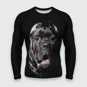 Мужской рашгард 3D с принтом Мастиф в Тюмени,  |  | animal | black | collar | dog | friend | look | man | muzzle | взгляд | друг | животное | мастиф | ошейник | пёс | собака | человека | черный