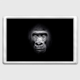 Магнит 45*70 с принтом Горилла в Тюмени, Пластик | Размер: 78*52 мм; Размер печати: 70*45 | animal | black | eyes | fauna | gorilla | gray | look | monkey | muzzle | primate | взгляд | глаза | горилла | животное | обезьяна | примат | серый | фауна | черный