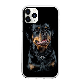Чехол для iPhone 11 Pro Max матовый с принтом Ротвейлер в Тюмени, Силикон |  | animal | black | breed | collar | dog | friend | glance | gloss | man | muzzle | rottweiler | взгляд | друг | животное | лоск | ошейник | пёс | порода | ротвейлер | собака | человека | черный