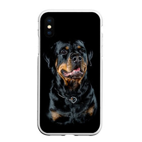Чехол для iPhone XS Max матовый с принтом Ротвейлер в Тюмени, Силикон | Область печати: задняя сторона чехла, без боковых панелей | animal | black | breed | collar | dog | friend | glance | gloss | man | muzzle | rottweiler | взгляд | друг | животное | лоск | ошейник | пёс | порода | ротвейлер | собака | человека | черный