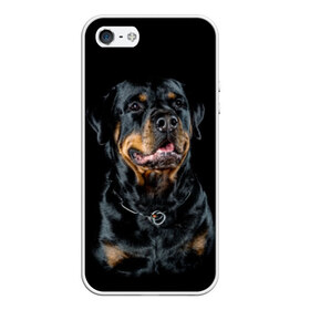 Чехол для iPhone 5/5S матовый с принтом Ротвейлер в Тюмени, Силикон | Область печати: задняя сторона чехла, без боковых панелей | animal | black | breed | collar | dog | friend | glance | gloss | man | muzzle | rottweiler | взгляд | друг | животное | лоск | ошейник | пёс | порода | ротвейлер | собака | человека | черный