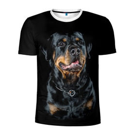 Мужская футболка 3D спортивная с принтом Ротвейлер в Тюмени, 100% полиэстер с улучшенными характеристиками | приталенный силуэт, круглая горловина, широкие плечи, сужается к линии бедра | animal | black | breed | collar | dog | friend | glance | gloss | man | muzzle | rottweiler | взгляд | друг | животное | лоск | ошейник | пёс | порода | ротвейлер | собака | человека | черный
