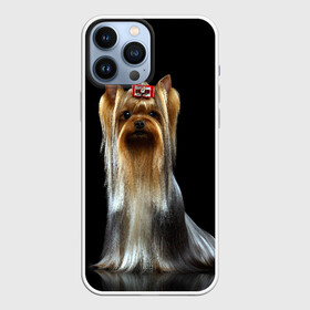 Чехол для iPhone 13 Pro Max с принтом Йоркширский терьер в Тюмени,  |  | animal | barrette | breed | cute | dog | funny | muzzle | small | terrier | yorkshire | животное | забавный | заколка | йоркширский | маленький | милый | порода | смешной | собака | терьер