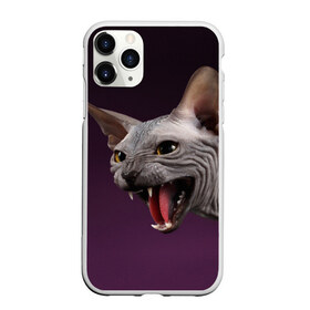 Чехол для iPhone 11 Pro матовый с принтом Сфинкс в Тюмени, Силикон |  | aggressive | angry | animal | bald | breed | cat | dangerous | fangs | gray | purple | sphinx | агрессивный | животное | злой | клыки | кот | лысый | опасный | порода | серый | сфинкс | фиолетовый