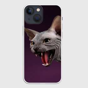 Чехол для iPhone 13 mini с принтом Сфинкс в Тюмени,  |  | Тематика изображения на принте: aggressive | angry | animal | bald | breed | cat | dangerous | fangs | gray | purple | sphinx | агрессивный | животное | злой | клыки | кот | лысый | опасный | порода | серый | сфинкс | фиолетовый