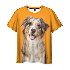 Мужская футболка 3D с принтом Австралийская овчарка в Тюмени, 100% полиэфир | прямой крой, круглый вырез горловины, длина до линии бедер | animal | australian | breed | cute | dog | ears | funny | look | muzzle | red | shepherd | tongue | white | австралийская | белый | взгляд | животное | забавный | милый | овчарка | порода | рыжий | смешной | собака | уши | язык