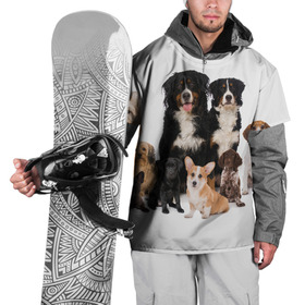 Накидка на куртку 3D с принтом Породистые собаки в Тюмени, 100% полиэстер |  | Тематика изображения на принте: animal | bernese | breed | bulldog | corgi | cute | dog | french | funny | jack | labrador | mountain dog | muzzle | paws | pug | puppy | spaniel | бернский | бульдог | джек рассел | животное | забавный | зенненхунд | корги | лабрадор | лапы | милый