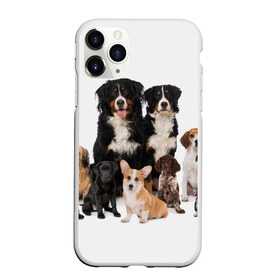Чехол для iPhone 11 Pro матовый с принтом Породистые собаки в Тюмени, Силикон |  | animal | bernese | breed | bulldog | corgi | cute | dog | french | funny | jack | labrador | mountain dog | muzzle | paws | pug | puppy | spaniel | бернский | бульдог | джек рассел | животное | забавный | зенненхунд | корги | лабрадор | лапы | милый