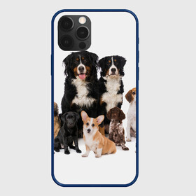 Чехол для iPhone 12 Pro с принтом Породистые собаки в Тюмени, силикон | область печати: задняя сторона чехла, без боковых панелей | animal | bernese | breed | bulldog | corgi | cute | dog | french | funny | jack | labrador | mountain dog | muzzle | paws | pug | puppy | spaniel | бернский | бульдог | джек рассел | животное | забавный | зенненхунд | корги | лабрадор | лапы | милый