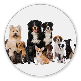 Коврик для мышки круглый с принтом Породистые собаки в Тюмени, резина и полиэстер | круглая форма, изображение наносится на всю лицевую часть | animal | bernese | breed | bulldog | corgi | cute | dog | french | funny | jack | labrador | mountain dog | muzzle | paws | pug | puppy | spaniel | бернский | бульдог | джек рассел | животное | забавный | зенненхунд | корги | лабрадор | лапы | милый