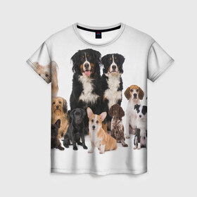 Женская футболка 3D с принтом Породистые собаки в Тюмени, 100% полиэфир ( синтетическое хлопкоподобное полотно) | прямой крой, круглый вырез горловины, длина до линии бедер | animal | bernese | breed | bulldog | corgi | cute | dog | french | funny | jack | labrador | mountain dog | muzzle | paws | pug | puppy | spaniel | бернский | бульдог | джек рассел | животное | забавный | зенненхунд | корги | лабрадор | лапы | милый