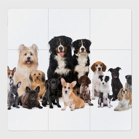 Магнитный плакат 3Х3 с принтом Породистые собаки в Тюмени, Полимерный материал с магнитным слоем | 9 деталей размером 9*9 см | Тематика изображения на принте: animal | bernese | breed | bulldog | corgi | cute | dog | french | funny | jack | labrador | mountain dog | muzzle | paws | pug | puppy | spaniel | бернский | бульдог | джек рассел | животное | забавный | зенненхунд | корги | лабрадор | лапы | милый