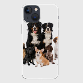 Чехол для iPhone 13 mini с принтом Породистые собаки в Тюмени,  |  | animal | bernese | breed | bulldog | corgi | cute | dog | french | funny | jack | labrador | mountain dog | muzzle | paws | pug | puppy | spaniel | бернский | бульдог | джек рассел | животное | забавный | зенненхунд | корги | лабрадор | лапы | милый