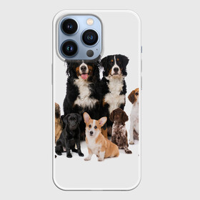 Чехол для iPhone 13 Pro с принтом Породистые собаки в Тюмени,  |  | animal | bernese | breed | bulldog | corgi | cute | dog | french | funny | jack | labrador | mountain dog | muzzle | paws | pug | puppy | spaniel | бернский | бульдог | джек рассел | животное | забавный | зенненхунд | корги | лабрадор | лапы | милый