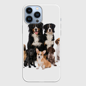 Чехол для iPhone 13 Pro Max с принтом Породистые собаки в Тюмени,  |  | animal | bernese | breed | bulldog | corgi | cute | dog | french | funny | jack | labrador | mountain dog | muzzle | paws | pug | puppy | spaniel | бернский | бульдог | джек рассел | животное | забавный | зенненхунд | корги | лабрадор | лапы | милый