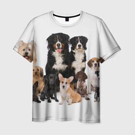Мужская футболка 3D с принтом Породистые собаки в Тюмени, 100% полиэфир | прямой крой, круглый вырез горловины, длина до линии бедер | animal | bernese | breed | bulldog | corgi | cute | dog | french | funny | jack | labrador | mountain dog | muzzle | paws | pug | puppy | spaniel | бернский | бульдог | джек рассел | животное | забавный | зенненхунд | корги | лабрадор | лапы | милый