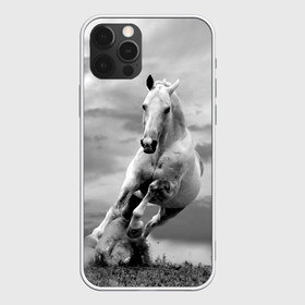 Чехол для iPhone 12 Pro Max с принтом Белая лошадь в Тюмени, Силикон |  | animal | beautiful | gloss | horse | mane | mustang | muzzle | nature | white | wild | белый | грива | дикий | животное | конь | красивый | лоск | лошадь | мустанг | природа | скакун