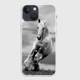 Чехол для iPhone 13 mini с принтом Белая лошадь в Тюмени,  |  | animal | beautiful | gloss | horse | mane | mustang | muzzle | nature | white | wild | белый | грива | дикий | животное | конь | красивый | лоск | лошадь | мустанг | природа | скакун