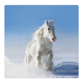 Магнитный плакат 3Х3 с принтом Белый скакун в Тюмени, Полимерный материал с магнитным слоем | 9 деталей размером 9*9 см | animal | beautiful | gloss | horse | mane | mustang | muzzle | nature | snow | white | wild | winter | белый | грива | дикий | животное | зима | конь | красивый | лоск | лошадь | мустанг | природа | скакун | снег