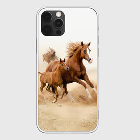 Чехол для iPhone 12 Pro с принтом Лошадь с жеребенком  в Тюмени, силикон | область печати: задняя сторона чехла, без боковых панелей | animal | baby | beautiful | brown | desert | foal | horse | mustang | nature | wild | дикий | жеребенок | животное | конь | коричневый | красивый | лошадь | малыш | мустанг | природа | пустыня | скакун