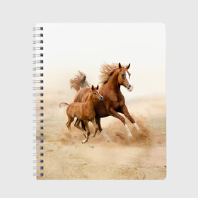 Тетрадь с принтом Лошадь с жеребенком в Тюмени, 100% бумага | 48 листов, плотность листов — 60 г/м2, плотность картонной обложки — 250 г/м2. Листы скреплены сбоку удобной пружинной спиралью. Уголки страниц и обложки скругленные. Цвет линий — светло-серый
 | Тематика изображения на принте: animal | baby | beautiful | brown | desert | foal | horse | mustang | nature | wild | дикий | жеребенок | животное | конь | коричневый | красивый | лошадь | малыш | мустанг | природа | пустыня | скакун