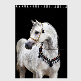 Скетчбук с принтом Серый в яблоках конь в Тюмени, 100% бумага
 | 48 листов, плотность листов — 100 г/м2, плотность картонной обложки — 250 г/м2. Листы скреплены сверху удобной пружинной спиралью | animal | beautiful | black | eyes | gloss | gray | harness | horse | in apples | look | muzzle | spotted | white | белый | в яблоках | взгляд | глаза | животное | конь | красивый | лоск | лошадь | пятнистый | сбруя | серый | скакун | черный