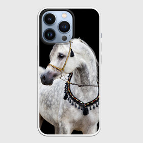 Чехол для iPhone 13 Pro с принтом Серый в яблоках конь в Тюмени,  |  | animal | beautiful | black | eyes | gloss | gray | harness | horse | in apples | look | muzzle | spotted | white | белый | в яблоках | взгляд | глаза | животное | конь | красивый | лоск | лошадь | пятнистый | сбруя | серый | скакун | черный