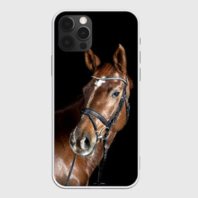 Чехол для iPhone 12 Pro Max с принтом Гнедая лошадь в Тюмени, Силикон |  | animal | beautiful | black | brown | eyes | gloss | horse | look | muscles | muzzle | portrait | взгляд | глаза | гнедая | животное | конь | коричневый | красивый | лоск | лошадь | мускулы | портрет | скакун | черный