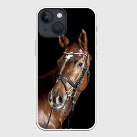 Чехол для iPhone 13 mini с принтом Гнедая лошадь в Тюмени,  |  | animal | beautiful | black | brown | eyes | gloss | horse | look | muscles | muzzle | portrait | взгляд | глаза | гнедая | животное | конь | коричневый | красивый | лоск | лошадь | мускулы | портрет | скакун | черный