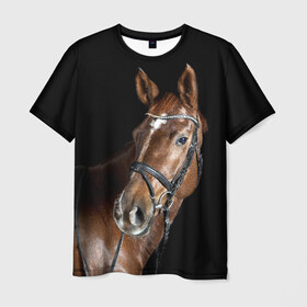 Мужская футболка 3D с принтом Гнедая лошадь в Тюмени, 100% полиэфир | прямой крой, круглый вырез горловины, длина до линии бедер | animal | beautiful | black | brown | eyes | gloss | horse | look | muscles | muzzle | portrait | взгляд | глаза | гнедая | животное | конь | коричневый | красивый | лоск | лошадь | мускулы | портрет | скакун | черный