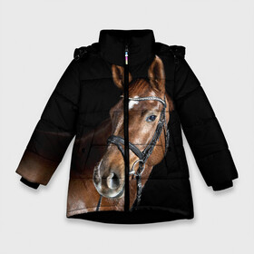 Зимняя куртка для девочек 3D с принтом Гнедая лошадь в Тюмени, ткань верха — 100% полиэстер; подклад — 100% полиэстер, утеплитель — 100% полиэстер. | длина ниже бедра, удлиненная спинка, воротник стойка и отстегивающийся капюшон. Есть боковые карманы с листочкой на кнопках, утяжки по низу изделия и внутренний карман на молнии. 

Предусмотрены светоотражающий принт на спинке, радужный светоотражающий элемент на пуллере молнии и на резинке для утяжки. | animal | beautiful | black | brown | eyes | gloss | horse | look | muscles | muzzle | portrait | взгляд | глаза | гнедая | животное | конь | коричневый | красивый | лоск | лошадь | мускулы | портрет | скакун | черный