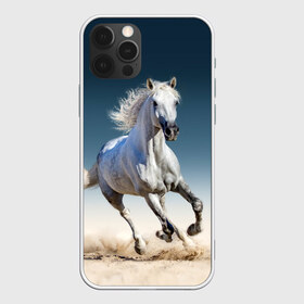 Чехол для iPhone 12 Pro Max с принтом Серый в яблоках конь в Тюмени, Силикон |  | animal | beautiful | black | eyes | gloss | gray | harness | horse | in apples | look | muzzle | spotted | white | белый | в яблоках | взгляд | глаза | животное | конь | красивый | лоск | лошадь | пятнистый | сбруя | серый | скакун