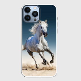 Чехол для iPhone 13 Pro Max с принтом Серый в яблоках конь в Тюмени,  |  | animal | beautiful | black | eyes | gloss | gray | harness | horse | in apples | look | muzzle | spotted | white | белый | в яблоках | взгляд | глаза | животное | конь | красивый | лоск | лошадь | пятнистый | сбруя | серый | скакун