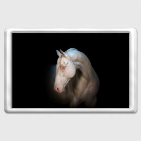 Магнит 45*70 с принтом Белая лошадь в Тюмени, Пластик | Размер: 78*52 мм; Размер печати: 70*45 | animal | black | breed | horse | muscle | muzzle | strength | unusual | white | белый | животное | конь | лошадь | мышцы | необычный | порода | сила | скакун