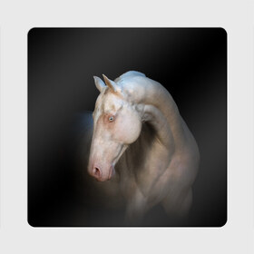 Магнит виниловый Квадрат с принтом Белая лошадь в Тюмени, полимерный материал с магнитным слоем | размер 9*9 см, закругленные углы | animal | black | breed | horse | muscle | muzzle | strength | unusual | white | белый | животное | конь | лошадь | мышцы | необычный | порода | сила | скакун