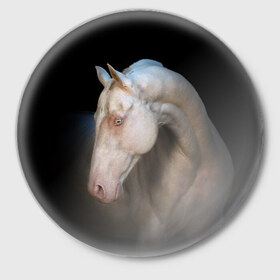 Значок с принтом Белая лошадь в Тюмени,  металл | круглая форма, металлическая застежка в виде булавки | Тематика изображения на принте: animal | black | breed | horse | muscle | muzzle | strength | unusual | white | белый | животное | конь | лошадь | мышцы | необычный | порода | сила | скакун