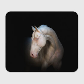 Коврик для мышки прямоугольный с принтом Белая лошадь в Тюмени, натуральный каучук | размер 230 х 185 мм; запечатка лицевой стороны | Тематика изображения на принте: animal | black | breed | horse | muscle | muzzle | strength | unusual | white | белый | животное | конь | лошадь | мышцы | необычный | порода | сила | скакун